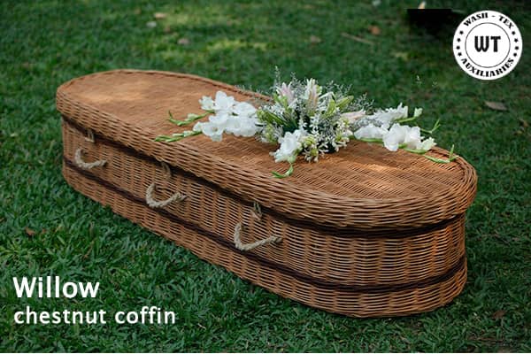 willow chestnut coffin